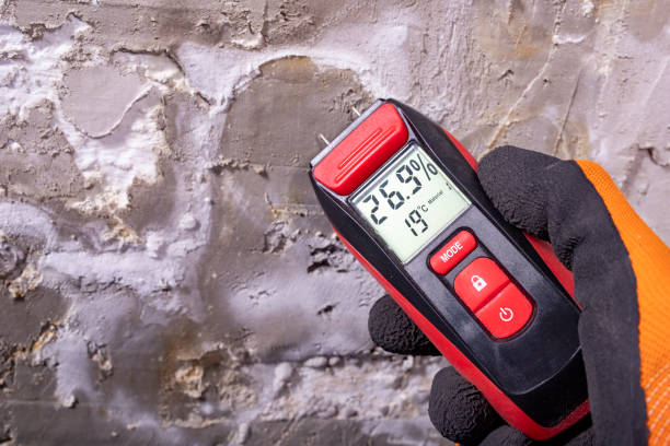 Best Residential Mold Remediation in Woodbury Heights, NJ